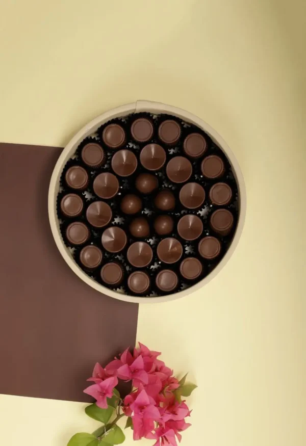 أناقة الصحراء